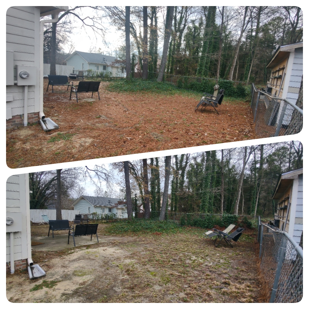 spring yard cleanup